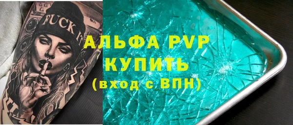 стафф Алексин