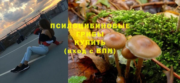 крисы Алзамай