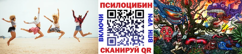 Псилоцибиновые грибы ЛСД  купить наркоту  Никольское 